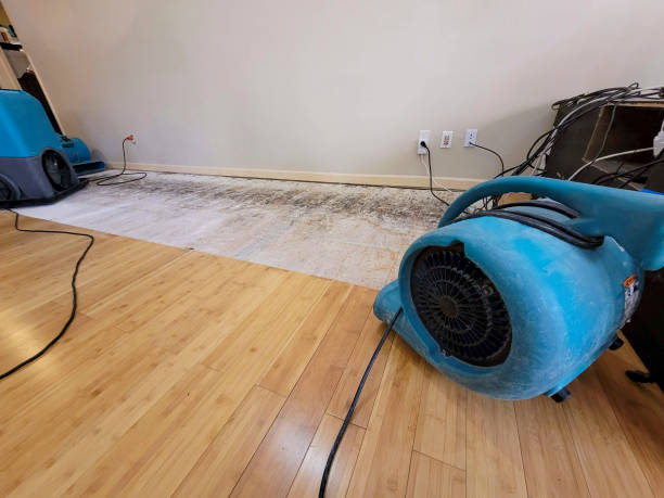 Professional Flood Damage Cleanup technician working in Henderson, TN